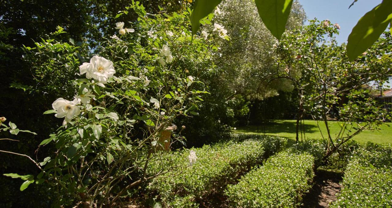 Villa Puccini Le Cap Extérieur photo