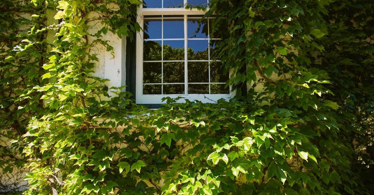 Villa Puccini Le Cap Extérieur photo